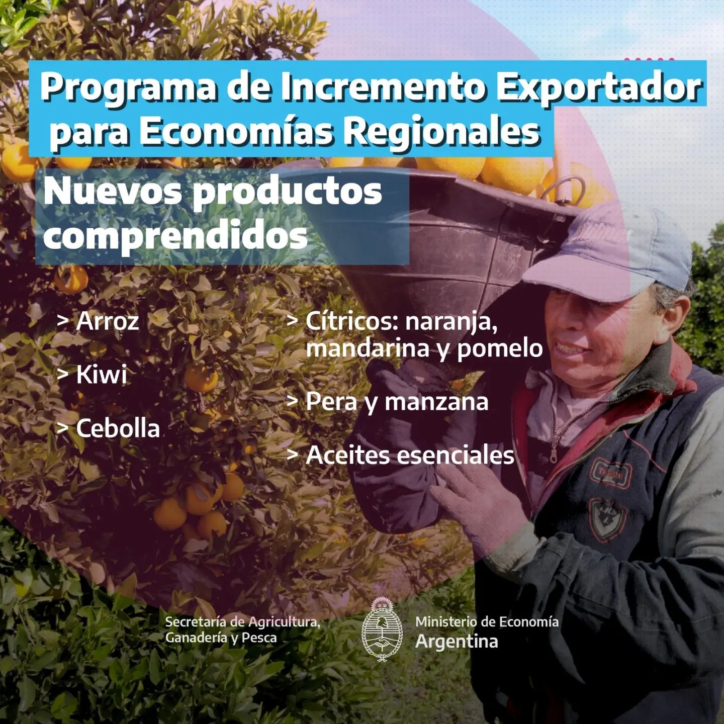 Programa de Incremento Exportador para las Economías Regionales