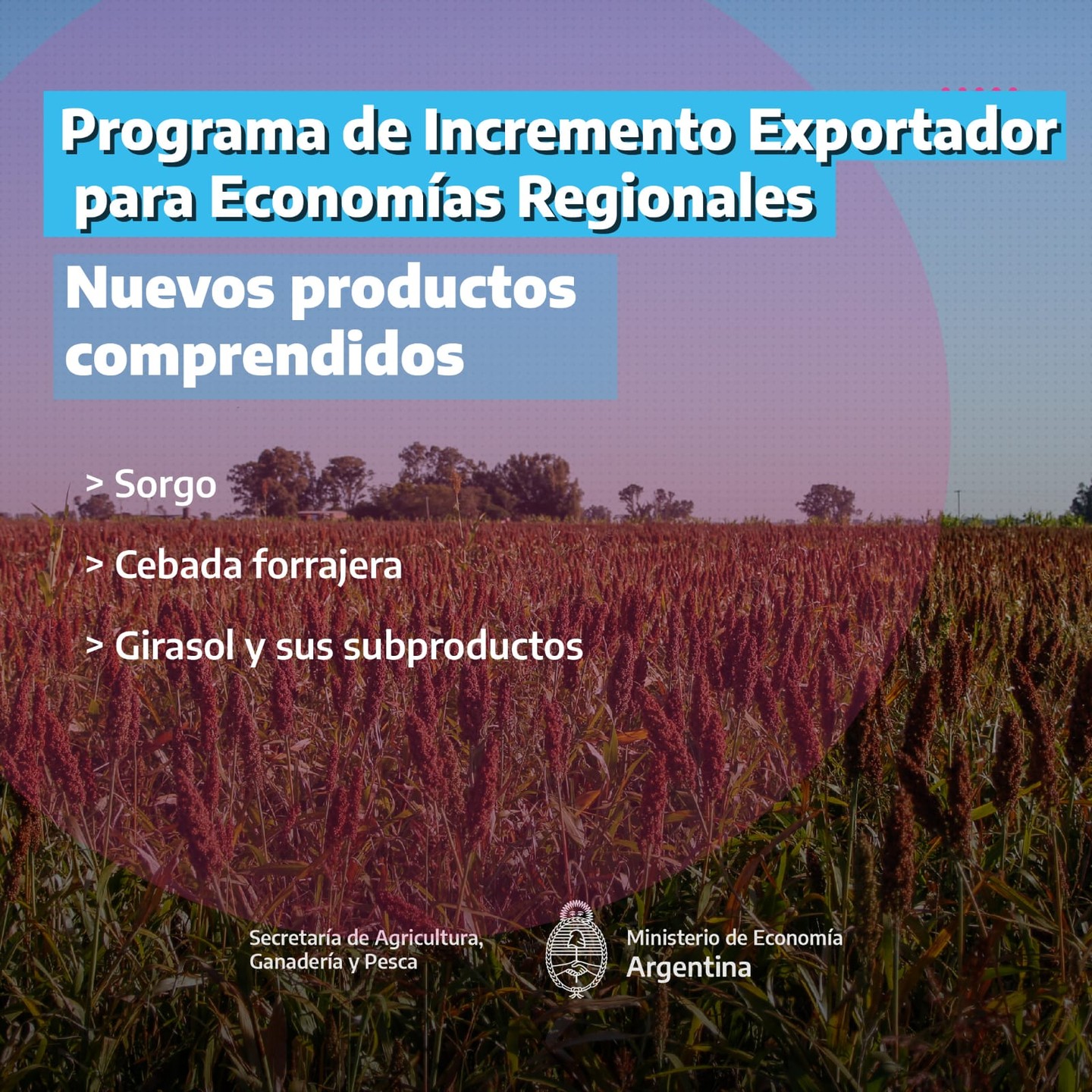Programa de Incremento Exportador para las Economías Regionales