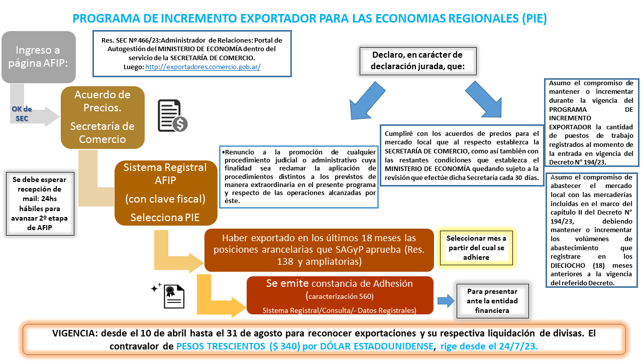 Procedimiento 