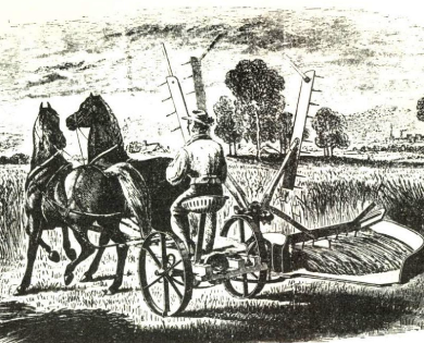 1856: El inicio de una historia productiva que cambió al país