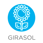 valores de mercado girasol